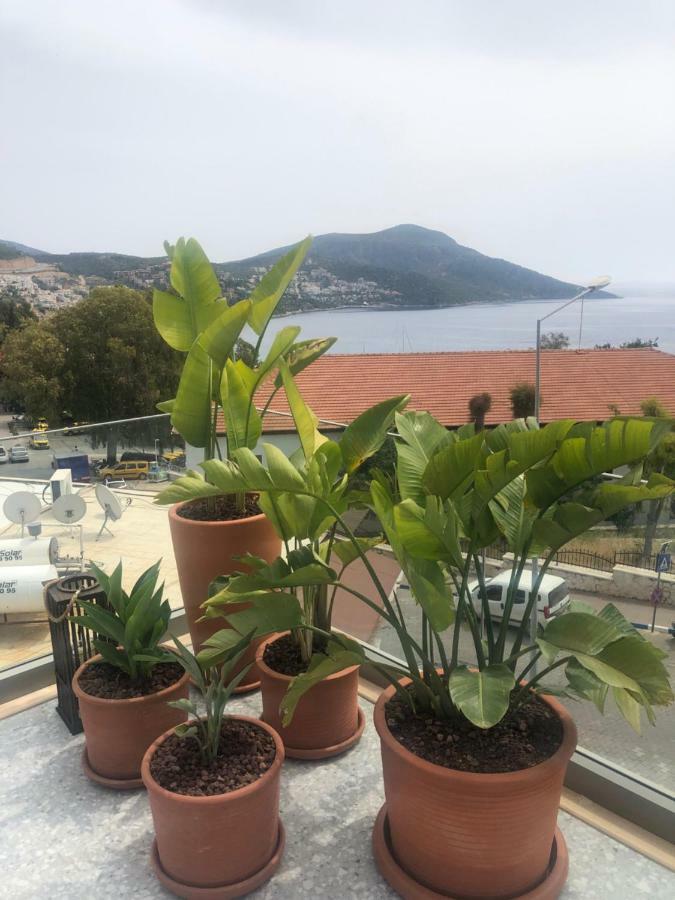 Samira Exclusive Hotel & Apartments Kalkan Kültér fotó